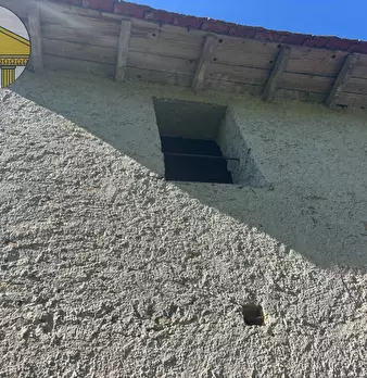 Foto annuncio 11
