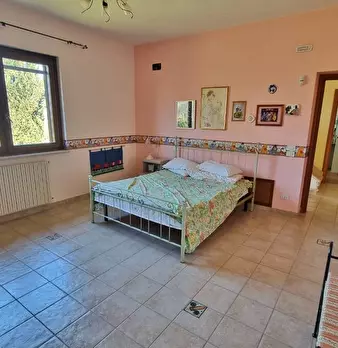 Foto annuncio 30