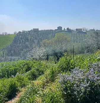 Foto annuncio 8
