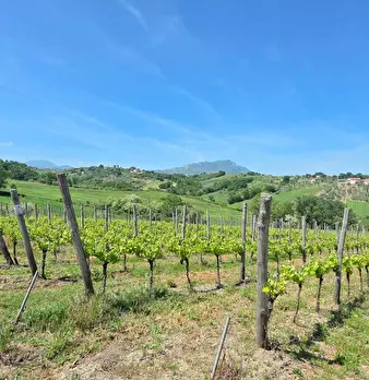 Foto annuncio 5