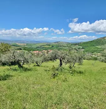 Foto annuncio 2