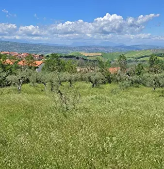 Foto annuncio 5