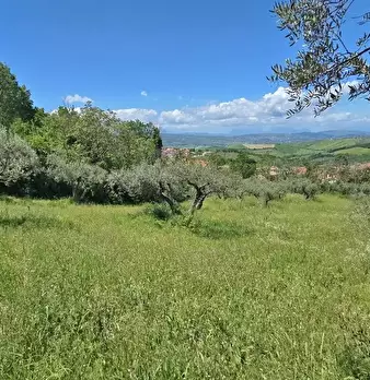 Foto annuncio 6