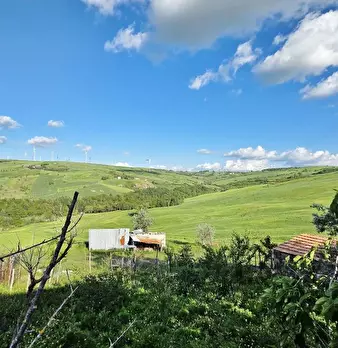 Foto annuncio 13