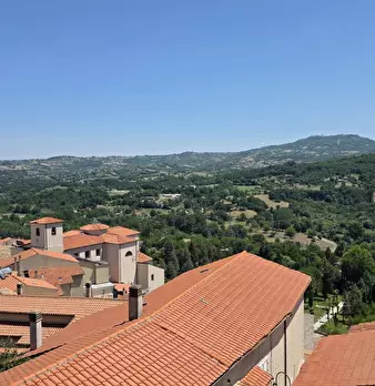 Foto annuncio 12