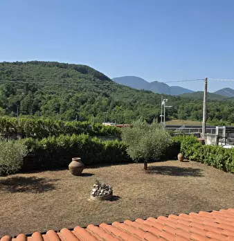 Foto annuncio 39