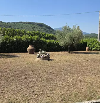 Foto annuncio 40