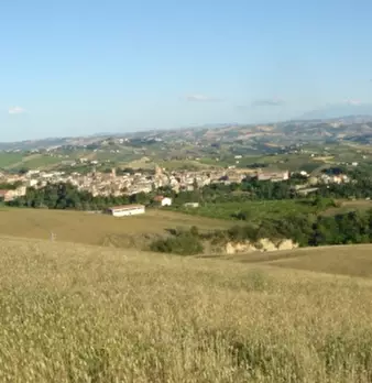 Foto annuncio 23