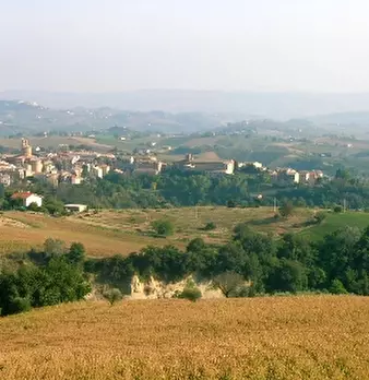 Foto annuncio 25