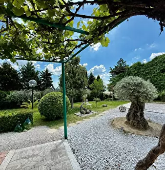 Foto annuncio 22