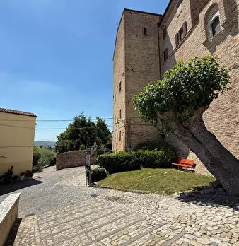 Foto annuncio 32