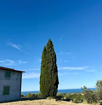 Foto annuncio 38