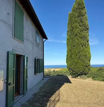 Foto annuncio 4
