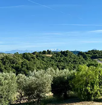 Foto annuncio 12