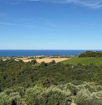 Foto annuncio 16