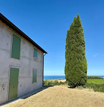 Foto annuncio 10