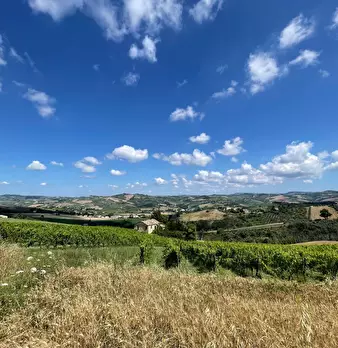 Foto annuncio 2