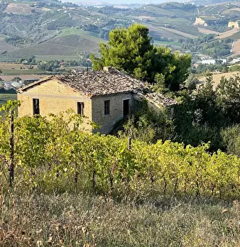 Foto annuncio 19