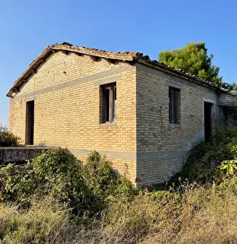Foto annuncio 6