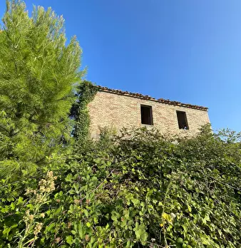 Foto annuncio 4