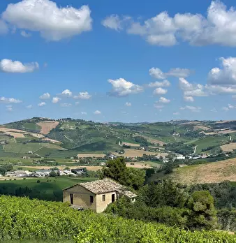 Foto annuncio 7