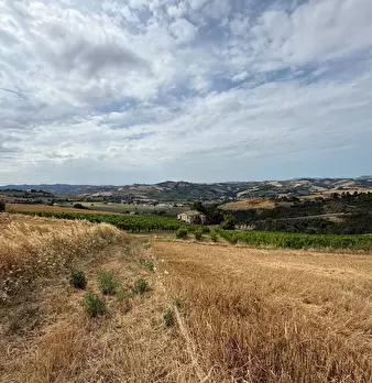 Foto annuncio 23