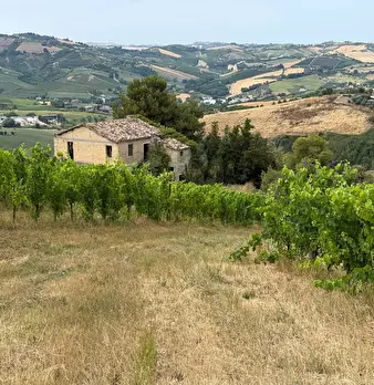 Foto annuncio 24