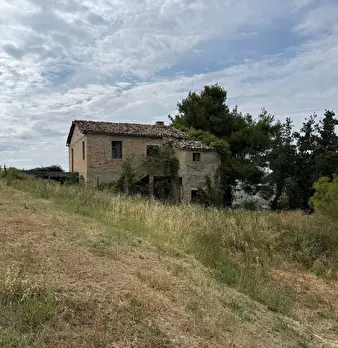 Foto annuncio 26
