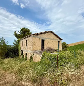 Foto annuncio 29