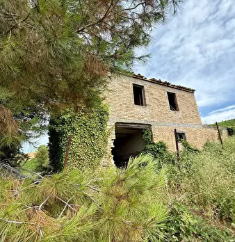 Foto annuncio 31