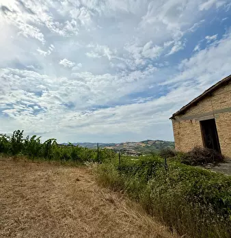 Foto annuncio 33