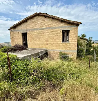Foto annuncio 34