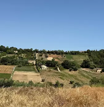 Foto annuncio 4