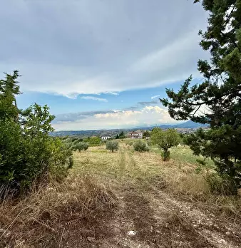 Foto annuncio 6