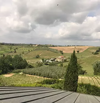 Foto annuncio 19