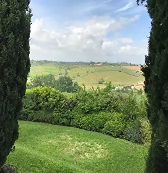 Foto annuncio 30