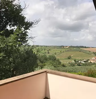 Foto annuncio 31