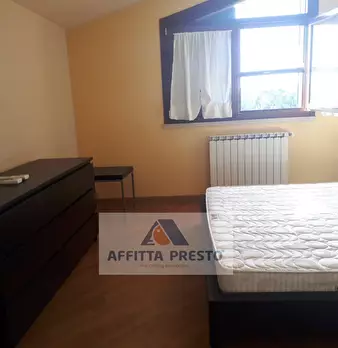 Foto annuncio 14