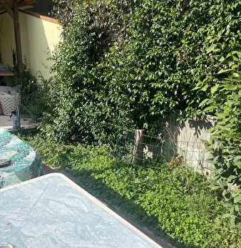 Foto annuncio 9