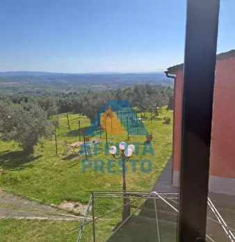 Foto annuncio 6