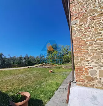 Foto annuncio 8