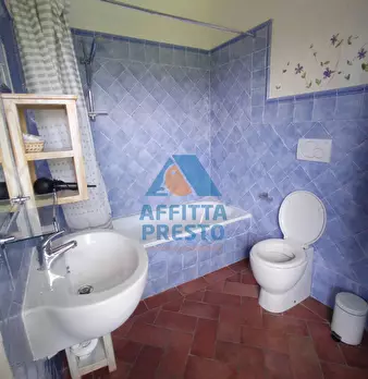 Foto annuncio 15