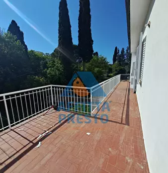 Foto annuncio 23