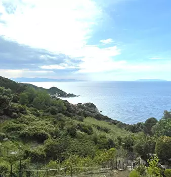 Foto annuncio 1