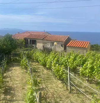 Foto annuncio 12