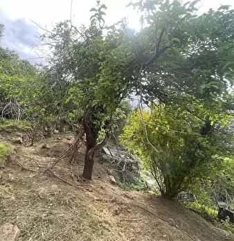 Foto annuncio 14
