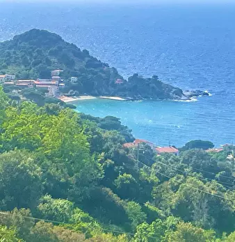 Foto annuncio 19