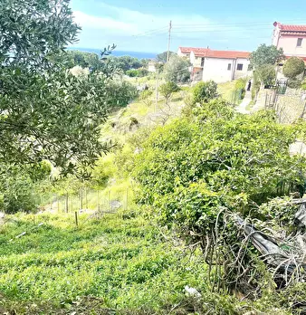 Foto annuncio 21
