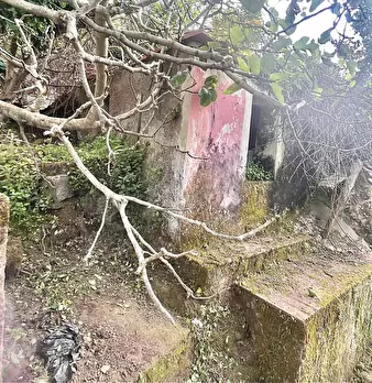 Foto annuncio 24