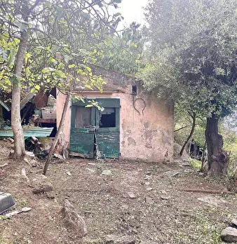 Foto annuncio 27